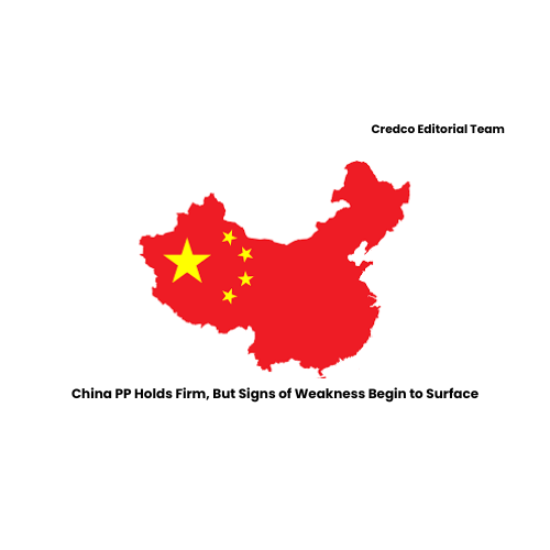 China PP Holds Firm, But Signs of Weakness Begin to Surface